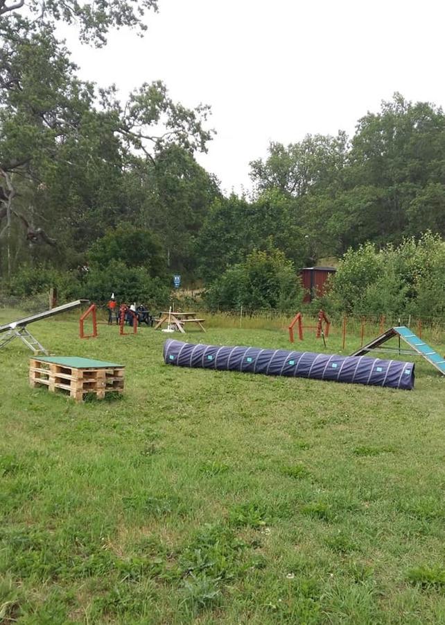 Odensvi Vandrarhem Bagian luar foto